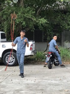S__4128835_450x600.jpg