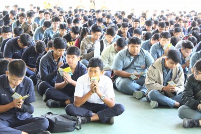 IMG_0494_800x533.JPG