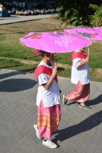 DSC_0317_800x534.JPG