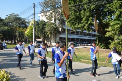 DSC_0374_800x534.JPG