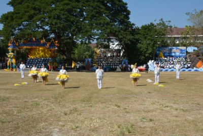 DSC_0654_800x534.JPG