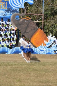 DSC_0681_800x534.JPG