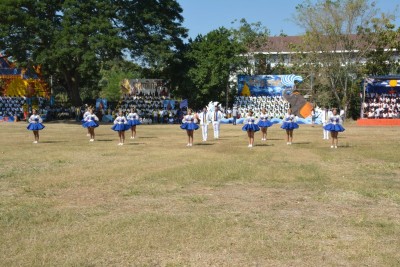 DSC_0693_800x534.JPG