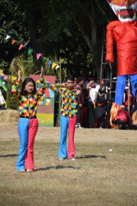 DSC_0751_800x534.JPG