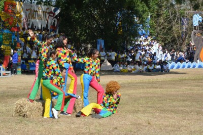 DSC_0773_800x534.JPG