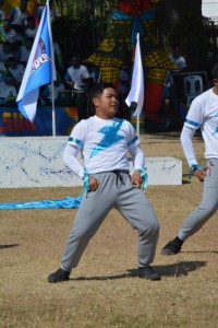 DSC_0860_800x534.JPG