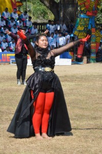DSC_0903_800x534.JPG