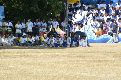DSC_0919_800x534.JPG