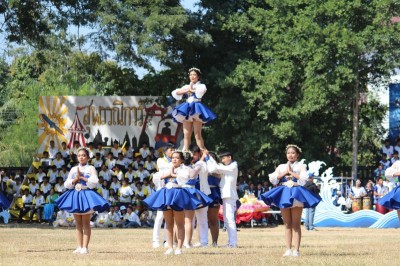 IMG_8611_800x533.JPG