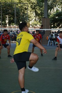 DSC_0267_800x534.JPG