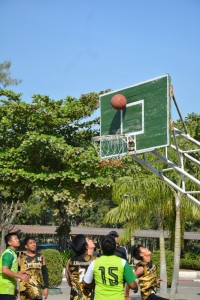 DSC_0296_800x534.JPG