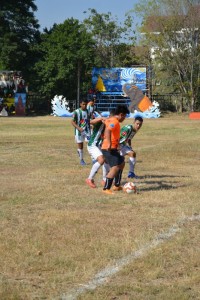 DSC_0372_800x534.JPG