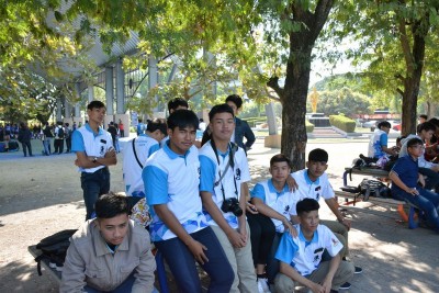 DSC_0460_800x534.JPG