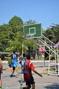DSC_0464_800x534.JPG