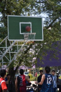 DSC_0481_800x534.JPG