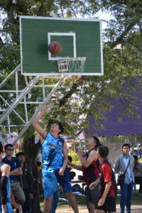 DSC_0482_800x534.JPG