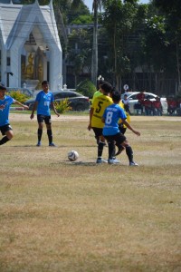 DSC_0667_800x534.JPG
