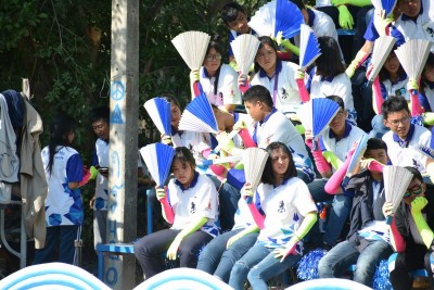 DSC_0960_800x534.JPG