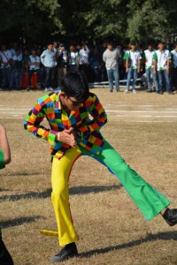 DSC_0988_800x534.JPG