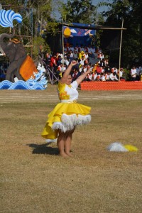 DSC_0998_800x534.JPG