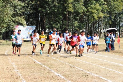 IMG_3802_800x533.JPG