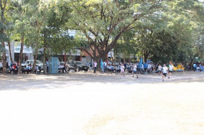 IMG_3892_800x533.JPG