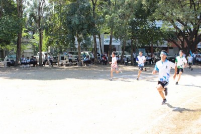 IMG_3894_800x533.JPG