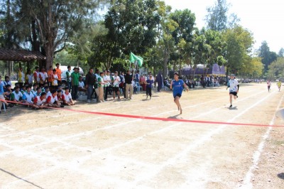 IMG_4073_800x533.JPG