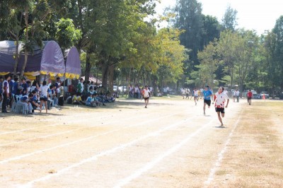 IMG_4090_800x533.JPG