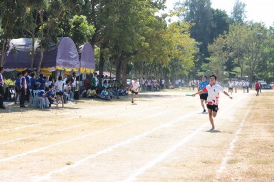 IMG_4092_800x533.JPG
