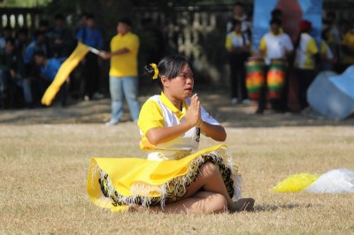 IMG_8908_800x533.JPG