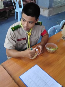 95057_0.jpg